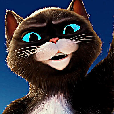 kitty softpaws